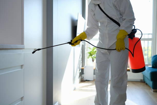 Best Mold Removal and Inspection  in Lame Deer, MT